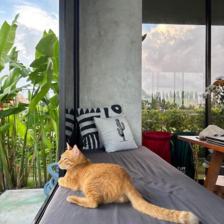 Casa Avana Ubud Eksteriør bilde