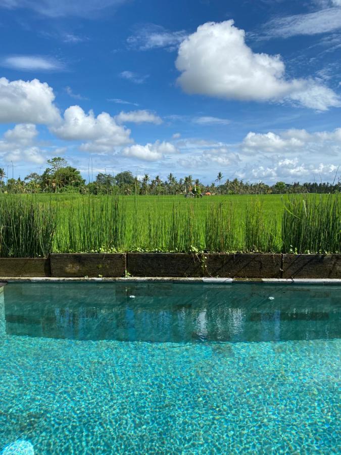 Casa Avana Ubud Eksteriør bilde