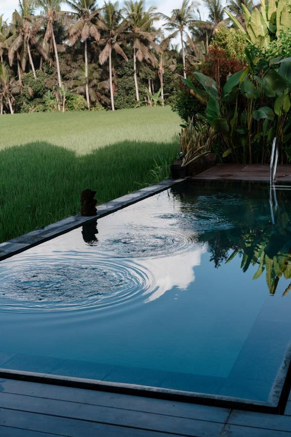 Casa Avana Ubud Eksteriør bilde
