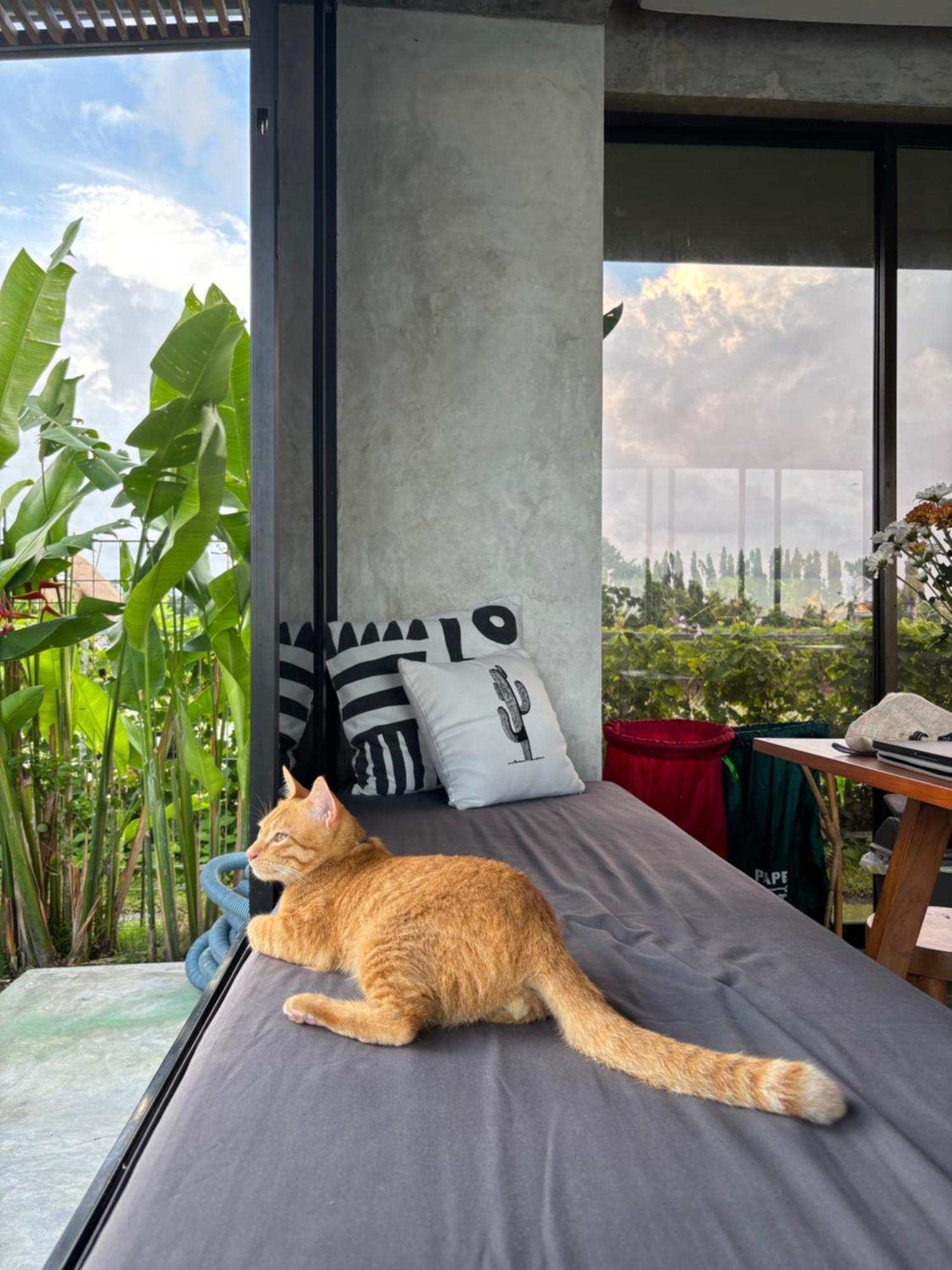 Casa Avana Ubud Eksteriør bilde